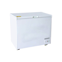Porte simple de congélateur profond horizontal commercial de coffre de grande capacité utilisée pour congeler le poisson ou la viande