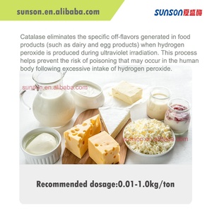 식품 등급 카탈라제 효소 액체 400,000 U/ml - 과산화수소 분해제 및 탈산화효소 - Product Image 2