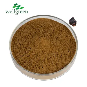 Wellgreen Bulk Plant Extract Organic Ingredient Polysaccharides Chaga Mushroom Extract