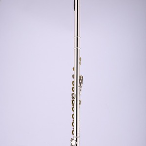 <span class=keywords><strong>Flûte</strong></span> à bec en nickel plaqué à 16 trous, accordage en Do, instrument argenté - Product Image 2