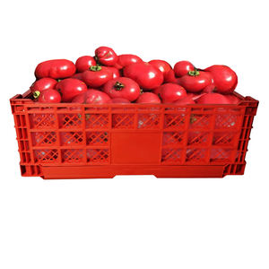 Boîtes de rangement pliables en plastique pour tomates, œufs, lait, en gros - Product Image 2