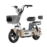 Bicicleta Eléctrica de Doble Asiento de Acero de Alto Carbono, 48V 350W 14 Pulgadas, Precio Económico, Largo Alcance, para Desplazamientos Familiares, Venta Directa de Fábrica