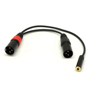 Enchufe hembra de 3,5mm a <span class=keywords><strong>2x</strong></span> <span class=keywords><strong>XLR</strong></span> macho Cable de extensión de audio y video Línea 20 CM CABLE DE LONGITUD - Product Image 5