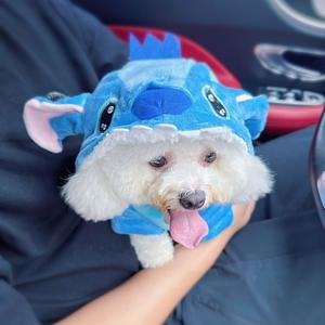 מעיל סטיץ' לכלב מחומר פוליאסטר, פליז וקטיפה, חמוד, מתאים לצ'יוואווה, עבה, לסתיו וחורף, בצבע כחול, במידה סופר קטנה. - Product Image 6