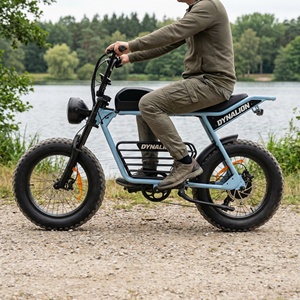 Bicicleta Eléctrica Todoterreno con Neumáticos Anchos y Frenos de Disco Hidráulicos, Bicicleta Cruiser para Rutas Panorámicas y Picnics en la Orilla del Lago - Product Image 2