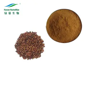 High Quality Grape Seeds P.E. / Grape Seeds Extract 90% Procyanidine