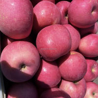 Chinees Fruit Verse Appel Fabrikant Verse Gala Appels/Rode Appel/Fuji Appel Prijs
