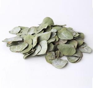 1 kg de feuilles d'<span class=keywords><strong>eucalyptus</strong></span> séchées biodégradables, 100 % naturelles, en vrac, feuilles d'<span class=keywords><strong>eucalyptus</strong></span> vertes rondes, pétales, confettis - Product Image 1