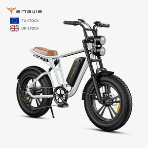 Bicicleta Eléctrica Urbana ENGWE M20 con Llantas Anchas, 48V13Ah, Bicicleta Deportiva Eléctrica Todoterreno con Suspensión Completa, 750W, Bicicleta Eléctrica de Montaña Retro - Product Image 1
