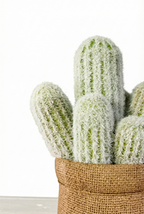 Plantes vertes artificielles, cactus à 7 têtes avec des épines blanches duveteuses, <span class=keywords><strong>gravier</strong></span> jaune, sac en lin artificiel quatre saisons, pot de plante en plastique - Product Image 2
