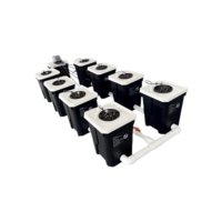 Système hydroponique RDWC à 4 seaux de 27 L avec pompes à air et à eau pour la culture de clones