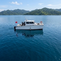 Catamaran à moteur en aluminium à double coque de 32,5 pieds pour 12 personnes, soudé, idéal pour les excursions insulaires et la pêche sportive