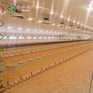 Được Thiết Kế Hoàn Chỉnh Kiểm Soát Gia Cầm Nhà Kho Thép Đúc Sẵn Kết Cấu Gà Nhà Mới Tự Động Trang Trại Xây Dựng Nhà Ở - Product Image 5