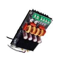 Carte d'amplificateur de classe D double TPA3255 300W x 2 Stéréo Hi-Fi Haute Puissance Module DIY Audiophile Interface de Connexion