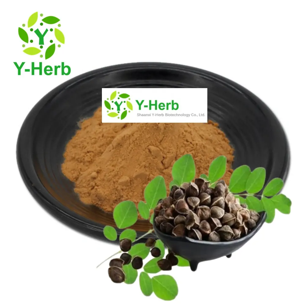 Moringa oleifera chiết xuất hạt bột 10:1 lỏng thủy phân