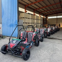 Buggy tout-terrain professionnel à essence 2 places pour adultes, avec châssis anti-roulis, capacité de charge de 200 kg