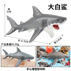 Modelli solidi di animali marini yxs: balena blu, orca, squalo martello, mantarca, megalodon, orso marino, leone marino - Product Image 3
