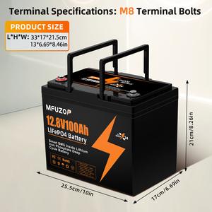 Pin LiFePO4 12.8V 100Ah, Pin Lithium Iron Phosphate chu kỳ sâu tích hợp hệ thống quản lý pin thông minh (BMS) dành cho xe RV, năng lượng mặt trời, hàng hải, hệ thống ngoài lưới điện - Product Image 3