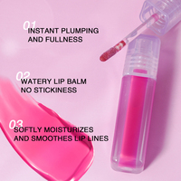 Brillant à lèvres longue durée Vegan imperméable minéral brillant brillant à lèvres finition brillante liquide rouge à lèvres végétalien cosmétiques maquillage