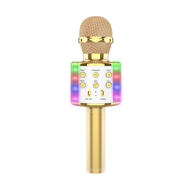 Portable Handheld  Microphone WS858L USB BT Wireless Karaoke Microphone Bring Their Own Audio