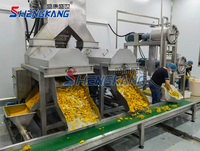 Machine d'extraction automatique de jus de fruits en acier inoxydable 304 pour fraises, tomates, mangues, ananas, avec moteur haute efficacité