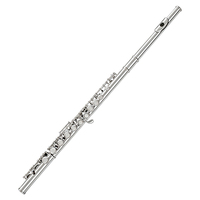 Professional Grade C Tone Flute 16 Keys Closed Holes Silver Plated Finish Surface Concert Flute