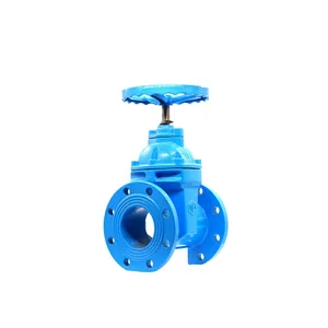 Taike Professional Manufacture DN125 Cheap Resilient Seated Stem Gate Valve Prices