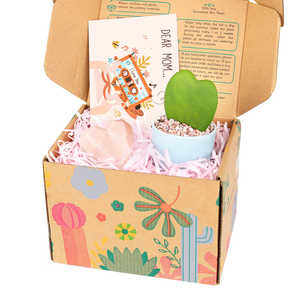 กล่องของขวัญวันแม่พร้อมสบู่รูปหัวใจและพืชอวบน้ำหัวใจ Hoya kerrii ขนาดเล็ก - Product Image 5