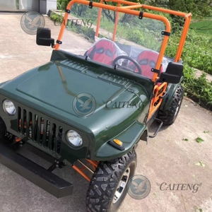 Buggy Eléctrico a Batería, Mini Jeep con Motor de 250cc/200cc, Legal para la Calle, 4x4, para Adultos, Motocicleta Económica de Gasolina - Product Image 6