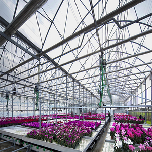 Grande serre agricole multi-chapelles en polycarbonate, galvanisée à chaud, haute résistance, robuste et résistante au vent - Product Image 4