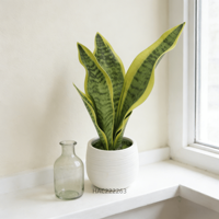 Tanaman Ular Buatan Ramah Lingkungan dan Tahan Lama dalam Pot Keramik, Sansevieria Plastik Imitasi untuk Dekorasi Rumah, Kantor, Hotel