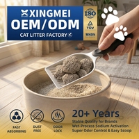 Lettiera per Gatti a Forma di Sfera OEM ODM Personalizzata con Etichetta Privata - Litiere Pour Chat ad Alta Assorbenza Premium