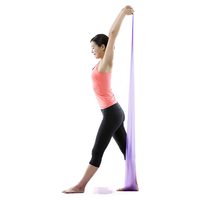 Bandes d'exercice portables TPE Theraband, bandes de résistance épaisses, bande de yoga en boucle, équipement d'exercice à domicile avec sacs portables