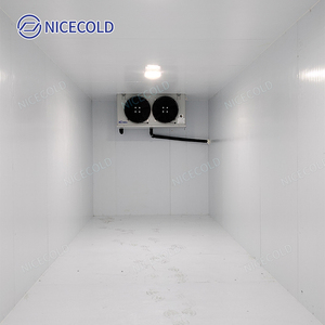 Phòng lạnh bảo quản thực phẩm đặt làm riêng, tủ đông đi bộ dành cho cửa hàng tạp hóa, nhà máy chế biến thịt và kho chứa nông sản tươi sống - Product Image 6