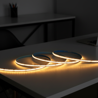 Lampu COB 480 LED 5MM Lebar DC 12/24V 11W/M Lampu Strip LED Satu Warna Putih Hangat/Netral/Dingin Peredupan Cahaya