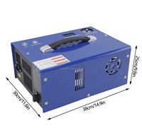 Kompresor Udara PCP 12v 4500Psi 30mpa 300Bar 350w Pompa Udara PCP Elektrik dengan Transformator Submersible
