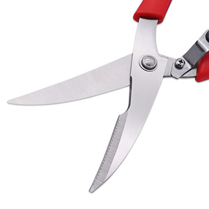 <b>Kitchen</b> <b>Scissors</b> Stainless Steel Blue Handle Elbow Shape For Home Use Bulk - Product Image 3