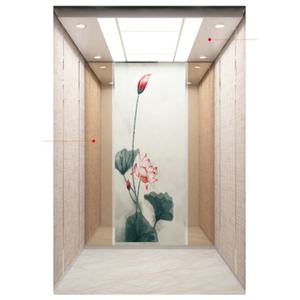 Volkslift 0017 Décoré <span class=keywords><strong>Maison</strong></span> Résidentielle Ascenseur Prix Pas Cher Ascenseurs pour Ascenseur Domestique - Product Image 1