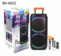 Altavoz Bluetooth con Asa Telescópica, Altavoz con Doble Woofer de 8 Pulgadas, Batería Recargable, USB, TF, FM, TWS, Micrófono Inalámbrico Individual