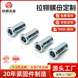 Tuerca Remachable Hexagonal Ciega Ou Xin 1008 de Acero al Carbono Zincado para Racks de Servidores y Chasis - Product Image 5