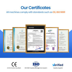 Machine d'emballage sous blister automatique certifiée CE ANTAI DPP-350 avec moteur pour l'emballage de comprimés, de gélules et de feuilles d'aluminium PVC - Product Image 6