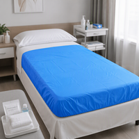 Draps et housses de lit jetables médicaux en papier, 2 couches, lot individuel