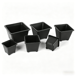 Macetas Cuadradas de Plástico Negro para Suculentas, Mini Jardineras para Sedum y Plantas Verdes al por Mayor - Product Image 3
