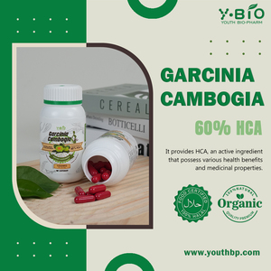 Helal <span class=keywords><strong>Garcinia</strong></span> <span class=keywords><strong>Cambogia</strong></span> Kapsülleri Metabolizma Yavaşlaması Yaşayanlar İçin Kalori Engelleyici Hemen Gönderim Sağlık Güvenliği ODM - Product Image 3