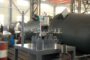 Reactor de Hidrogenación de Acero Inoxidable a Prueba de Explosiones bibo 50L, Marca Huixin, Semiautomático, con Aceite Térmico - Product Image 3
