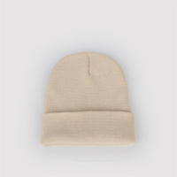 Wholesale Cheap Plain Beanies 