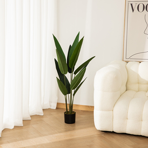 Vente en gros de bananes en pot, oiseaux de plantes de paradis, nouveau design décoratif pour la maison - Product Image 5