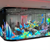 Nouvel écran LED COB transparent haute luminosité P10.4, film adhésif holographique 3D pour vitrine de magasin en chaîne