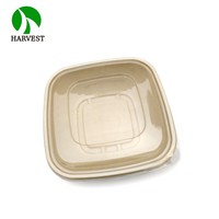 Assiettes jetables en bagasse 48 oz, 100 % compostables, biodégradables naturelles, certifiées UE, rectangulaires, pour boîte à lunch