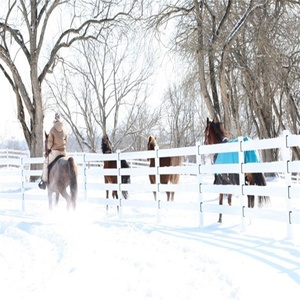 Hot nhúng mạ kẽm giá tốt nhất 4 Đường ray Trắng ngựa hàng rào trang trại hàng rào - Product Image 4